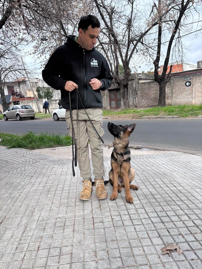 David adiestrando un cachorro de ovejero alemán en la vereda, atento y con correa floja