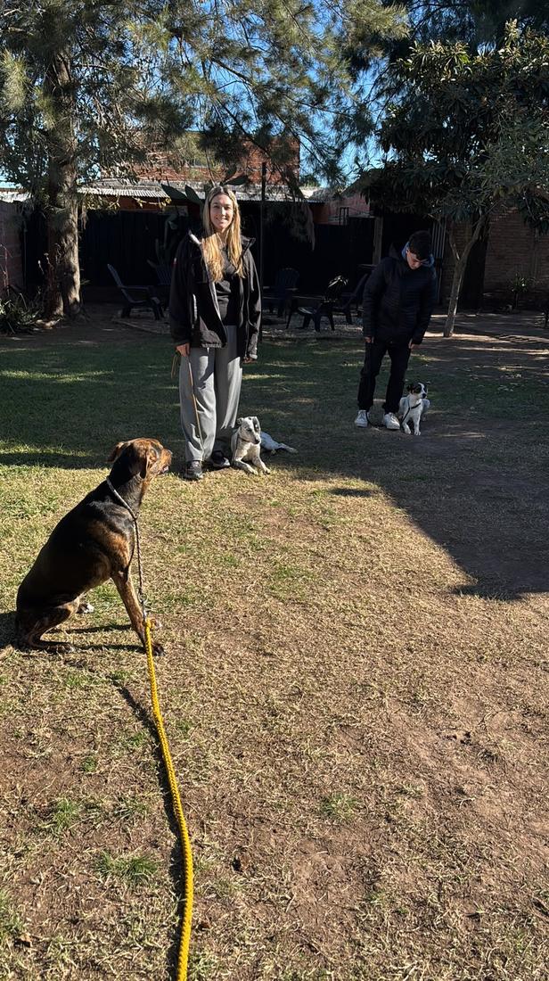 Clase en la escuela Del Arrabal con varios perros en posición y sus guías